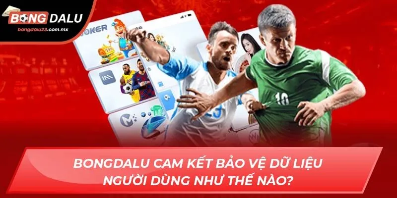 Bongdalu cam kết bảo vệ dữ liệu người dùng như thế nào?