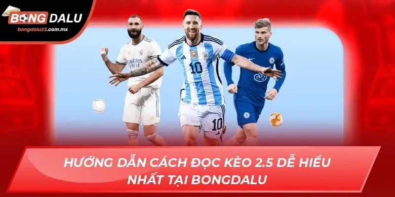 Hướng Dẫn Cách Đọc Kèo 2.5 Dễ Hiểu Nhất Tại Bongdalu